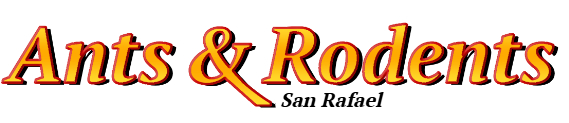 San Rafael Ant Exterminator & Rodent Control Company Logo